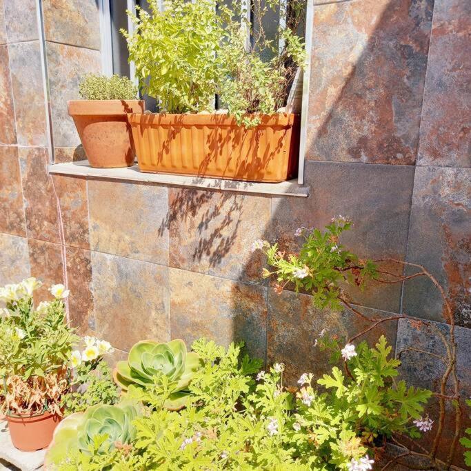 Rias Bajas Apartamento Con Jardin Apartment Villanueva De Arosa Exterior photo